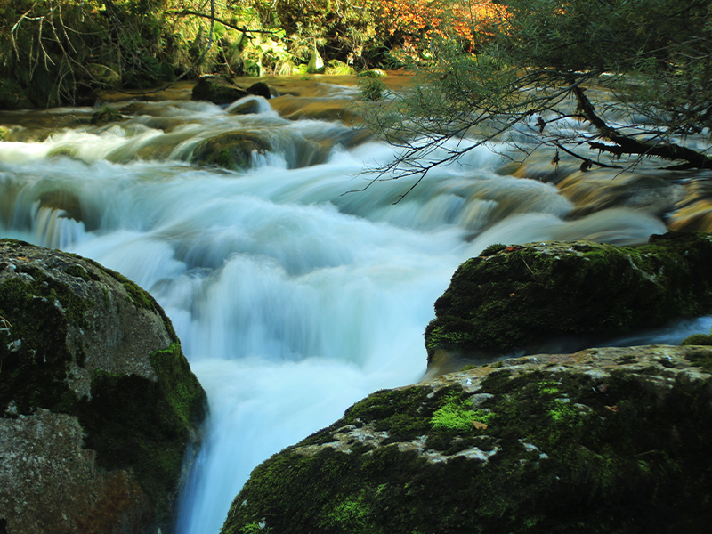 mission riviere 03