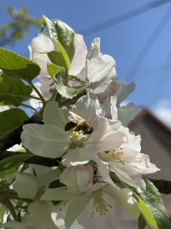 image00013